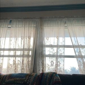 Meet your Posher, Rhiannon